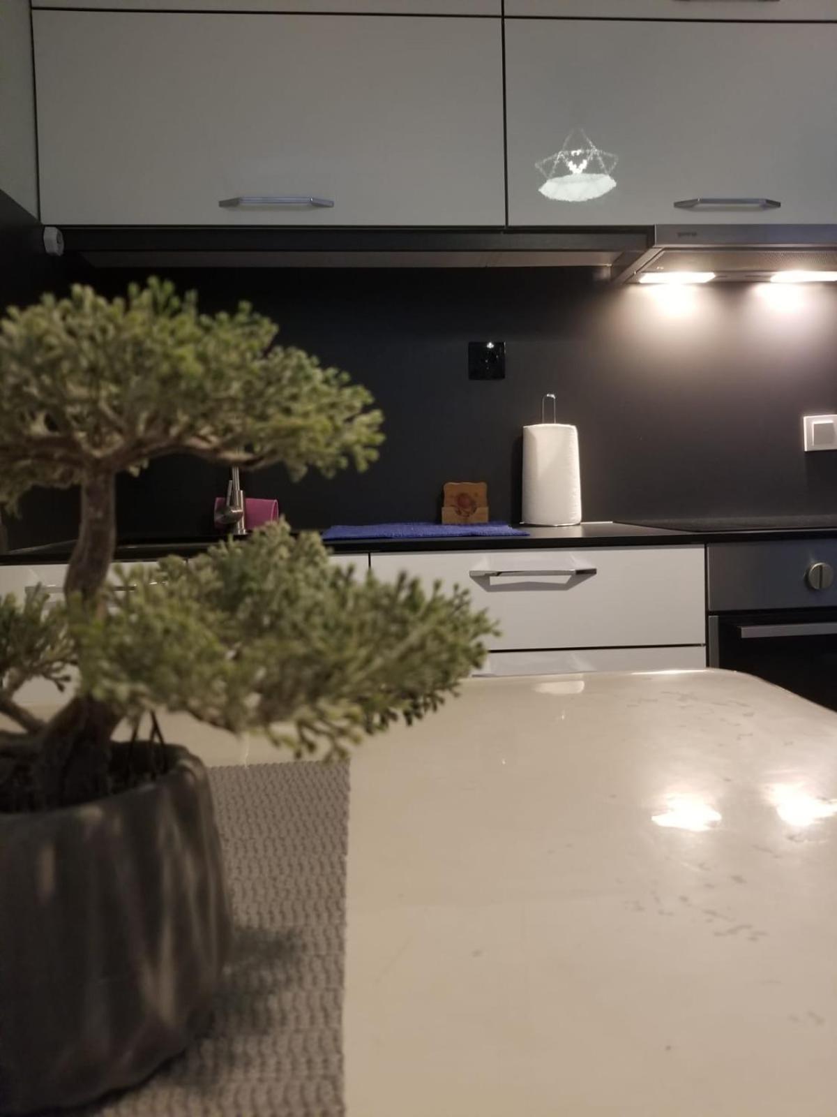 Cozy&Comfy Apartment In The Center Of Prishtina Pristina Exterior foto